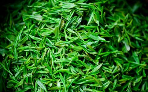 夏季 绿茶 生活 防晒 辐射 健康