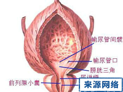 身体养护 癌症预防 身体哪些部位易患癌