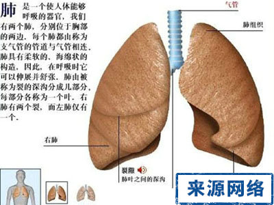 身体养护 癌症预防 身体哪些部位易患癌