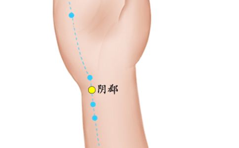 手相怎么看 看掌纹了解健康 看手纹 中医手相健康