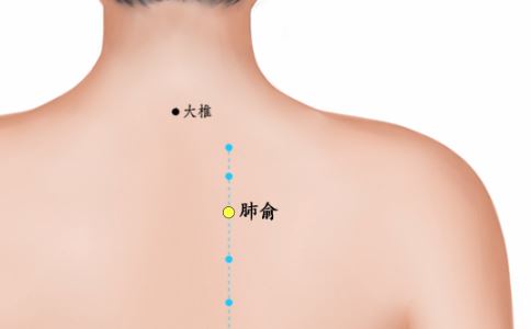 养生保健 养生的奥秘 养生的关键 黄金分割率