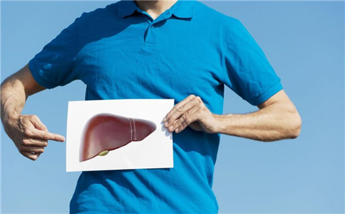 肝脏不好如何养肝 养肝的方法有哪些 怎么保护肝脏
