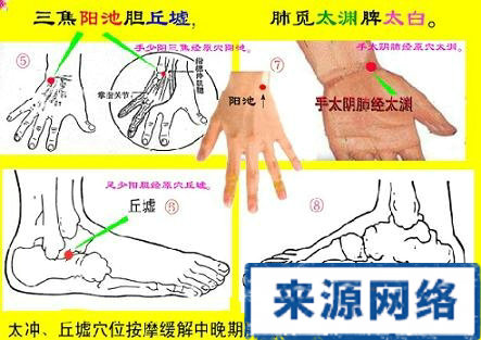 十二原穴 指压十二原 十四正经的原穴 治病