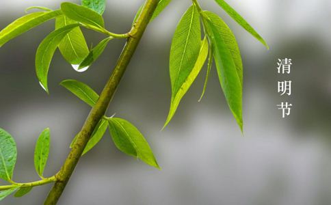 清明节有什么习俗 清明节如何养生 清明节养生吃什么