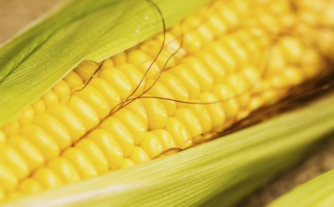 玉米的营养 吃玉米的好处 玉米的营养价值