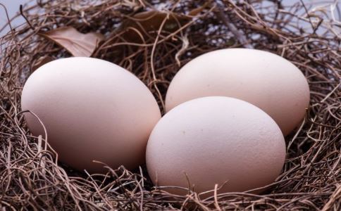 土鸡蛋比较有营养吗 吃鸡蛋的注意 哪些鸡蛋比较有营养