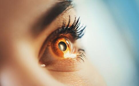 如何预防干眼症 预防干眼症的方法 预防干眼症吃什么
