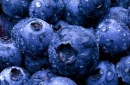 常吃蓝莓不仅增强免疫力还能抗衰老