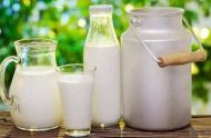 补钙不要只喝牛奶 这六种食物也很补钙