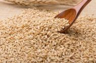 盘点燕麦米的功效作用以及食用禁忌