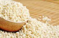 盘点高粱米的功效作用以及食用禁忌