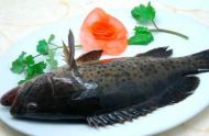 盘点石斑鱼的营养价值以及禁忌
