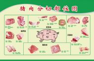 你知道猪不同的部位应该怎么吃最好吗